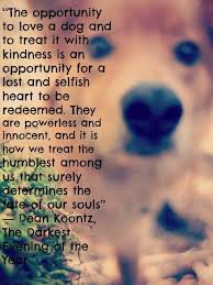 I Prefer To Substitute The Words A Dog With An Animal Dog Quotes Dogs I Love Dogs