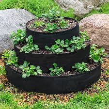 Maybe you would like to learn more about one of these? Container Gardening Gurney S Garden Supplies