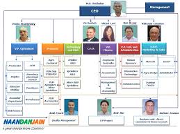 Analysts had their own problem with google's structure: Google Organizational Structure Coyar