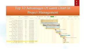 It also breaks down who's responsible for what project activity. Top 10 Advantages Of Gantt Chart In Project Management