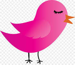 Please input one word as much as possible when searching. Pink Bird Cartoon Beak Water Bird Png Download 3000 2566 Free Transparent Cartoon Bird Png Download Cleanpng Kisspng