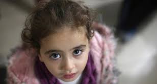 Israel America Foundation