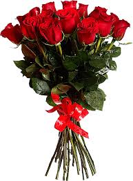 Blumen gifs zum geburtstag kostenlos. Bubzr5xe6cv Gif 660 895 Schone Blumen Liebe Blumen Blumenbilder