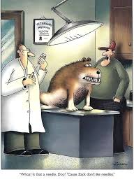 Pin By Chris Schoonover On Hilarious Seriously Funny Cartoon Memes Far Side Cartoons Far Side Comics