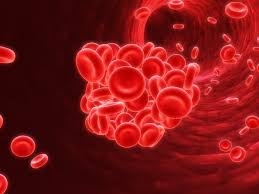 Thus, small pes are often missed because. Embolia Polmonare Tu Che Ne Sai Voglia Di Salute