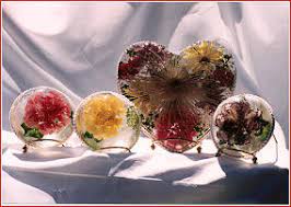 The gel helps to preserve the shape of the flowers and is reusable. Chemically Preserved Flowers Funeral Flowers Preservation