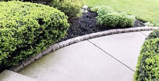 Did you scroll all this way to get facts about edging walkways? Sidewalk Border Pavers Edgers Outdoor Landscaping Sidewalk Border Ideas Landscape Edging