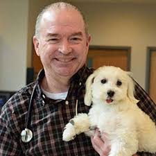 Meet Our Veterinary Specialty Team at Gold Coast Center