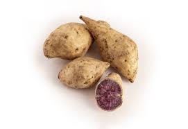 We did not find results for: The Ultimate Purple Sweet Potato Guide Frieda S Inc The Specialty Produce Company