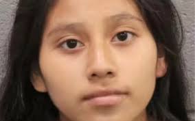 Brasileira desafia presidente da Câmara e diz que será eleita deputada