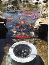 Pond Skimmers For Medium Small And Large Ponds Diy Pond Pond Water Features Ponds Backyard