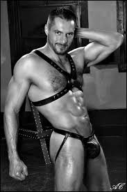 Arpad Miklos Porn image 65917