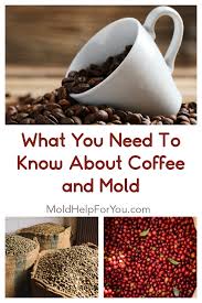 Topsearch.co updates its results daily to help you find what you are looking for. The Best Mold And Mycotoxin Free Coffee Brand Mold Help For You