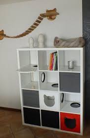 Pin On Katzen Wohnung Ideen