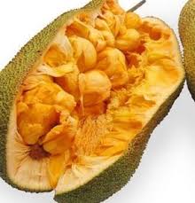 Aku kemudian mengambil posisi di antara kedua paha ibuku, batang kemaluanku terasa berdenyut saat ibu dengan lembut membelai dan meremas batang kemaluanku yang sudah sangat. Buah Cempedak Manfaat Efek Samping Dan Tips Konsumsi Idn Medis