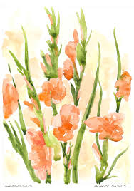 Shop by subject, style, room, best sellers & more. Gladiolus Flowers A Sketchbook Odyssey