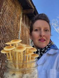 How to successfully grow enoki mushrooms?