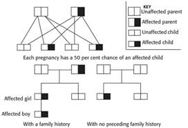 All About Genetics Contact