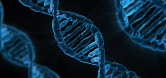 Die therapie bei mukoviszidose wird direkt nach diagnosestellung begonnen und ist lebenslang notwendig. Mukoviszidose Zystische Fibrose Ursachen Beschwerden Diagnose Behandlung Prognose Vorbeugung Gesundmed Medizin Und Gesundheit Im Web