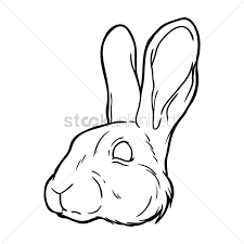 Drawing your bunny's face is a two part process. Free Rabbit Face Vector Image 1425969 Stockunlimited