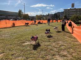 川西で大規模リフォーム＆リノベーションならりのべイズム