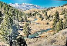 Sierra Nevada Drive for Parkinson's