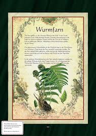 от земли до неба атлас определитель для начальных классов Pin Ot Polzovatelya Viktor Ponomarenko Na Doske 154 Flora Grass Plants Flower Beds I Grass