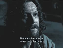 50 Best Harry Potter Quotes About Friendship Love And Family Harry Potter Friendship Harry Potter Quotes Harry Potter Sirius