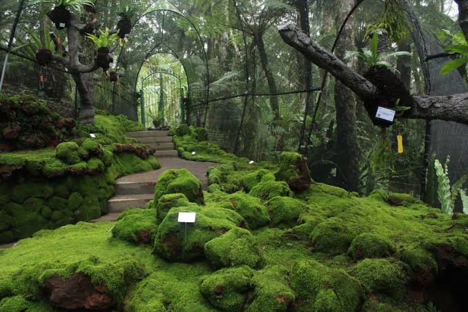 Bali Botanical Garden