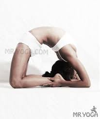 Pigeon Pose Kapotasana Yoga Poses Advanced Yoga Backbend Yoga Poses