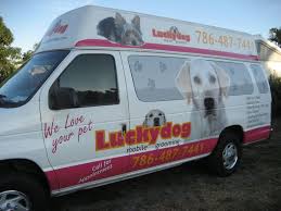 Our qualified groomers in miami, fl , have over 20 years of experience grooming and maintaining the coats of all. Lucky Dog Mobile Pet Grooming Pet Groomers 1801 Ne 180th St North Miami Beach Fl Phone Number Yelp