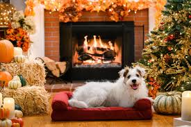 Find the right directv® package with news, sports, shows, movies & more for your family. A Happy And Friends Yule Log 2019