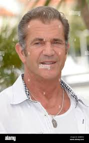 Beaver pictures hi-res stock photography and images