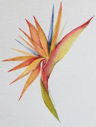 Abstract Bird Of Paradise Watercolor Bird Of Paradise Watercolor Flower Art Watercolor Paintings Birds Of Paradise