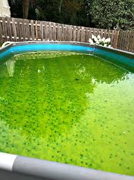 We Bought A Costco Pool Here S Everything You Need To Know Easy Set Pools Backyard Pool Backyard