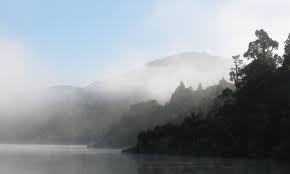 Marlene siegel, pets during pandemic, ananda moore, magic pills. Dr Marlene Mental Health Emotional Healing