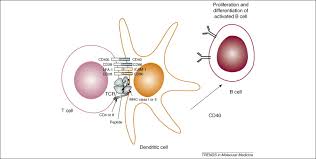 If you are new, we. Cell And Peptide Based Immunotherapeutic Approaches For Glioma Trends In Molecular Medicine