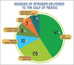 sources of nitrogen delivered to the gulf of mexico