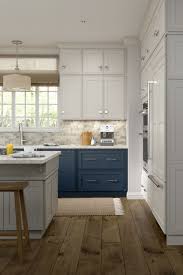 kitchen cabinets in atlanta kitchen
