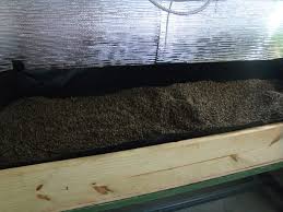 Pin On Hydroponics