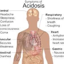 Acidosis And Alkalosis Lab Tests Online