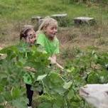 Kunterbuntes Familienfest