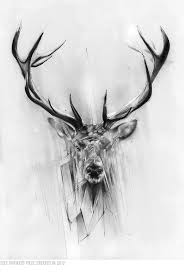 Tumblr N79kdapird1rv33k2o1 1280 Jpg 700 1036 Stag Tattoo Deer Art Print Deer Art
