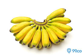 Inilah aneka jenis pisang yang cocok untuk digoreng. 9 Jenis Pisang Yang Paling Populer Di Indonesia Plus Cara Mengolah