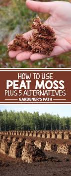 This home depot guide discusses organic, inorganic mulches and provides application tips m. How To Use Peat Moss In The Garden Gardener S Path