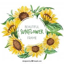 Free Free Realistic Sunflower Svg SVG PNG EPS DXF File