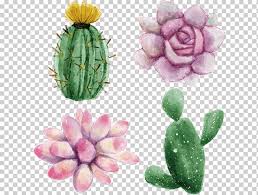Planta Suculenta Cactaceae Acuarela Pintura Planta Suculenta Euclidiana Ilustracion Flores Acuarela Hojas De Acuarela Natural Vector De Acuarela Png Klipartz Descargue este hermoso marco de hojas de otoño acuarela, acuarela, pintura, frame png o archivo vectorial gratis.