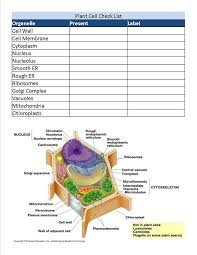 Check spelling or type a new query. Plant Cell Checklist Plant Cell Eukaryotic Cell Science Cells