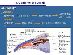 膜炎 转移性脓毒败血病 转移性脓肿 转移性腮腺炎 转移性腺癌 转移性色素层炎 转移性葡萄胎 转移性葡萄膜炎 转移性虹膜炎 转移性虹膜睫状体炎 转移. Part Sensory Organs The Sensory Organs Sensory Organs