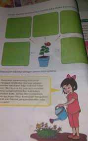 We did not find results for: Tulislah Manfaat Tumbuhan Bagi Makhluk Hidup Dalam Diagram Berikut Ini Brainly Co Id